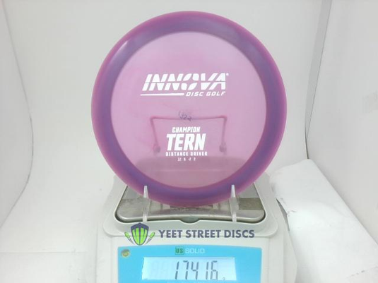 Champion Tern - Innova 174.16g