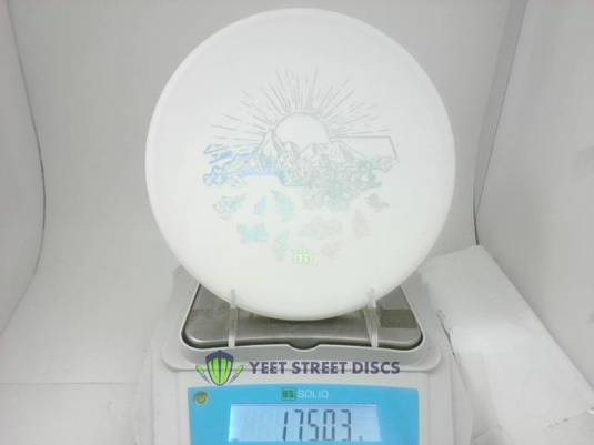 2025 Evan Smith BT Medium Harp - Westside 175.03g