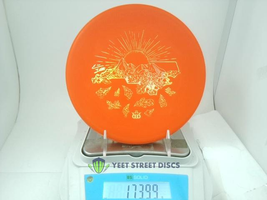 2025 Evan Smith BT Medium Harp - Westside 173.99g