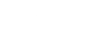 Yeet Street Discs logo