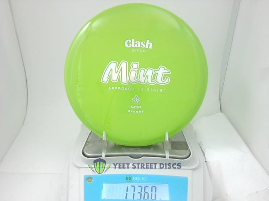 Steady Mint - Clash Discs 173.6g