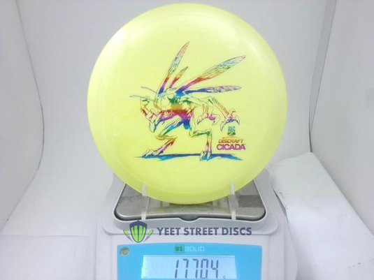 Big Z Cicada - Discraft 177.06g