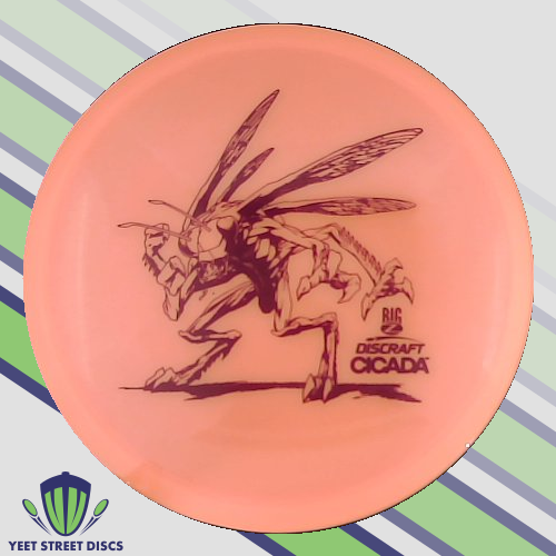 Big Z Cicada - Discraft 173.57g