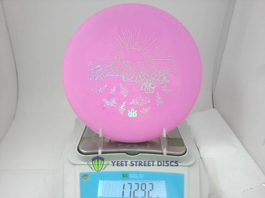 2025 Evan Smith EMAC Classic Blend Judge - Dynamic Discs 172.92g