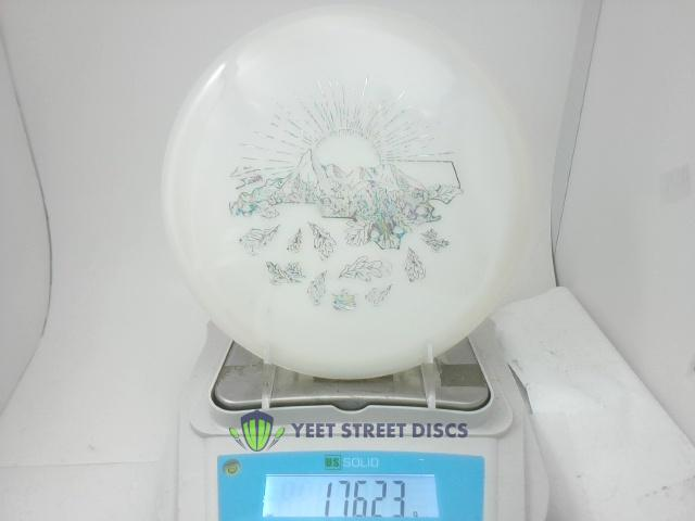 2025 Evan Smith Lucid Evidence - Dynamic Discs 176.24g