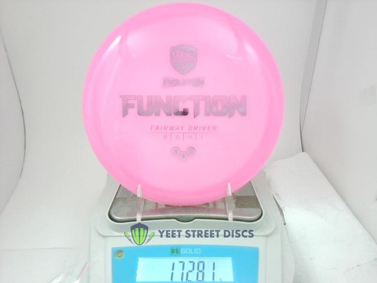 Neo Function - Discmania 172.81g