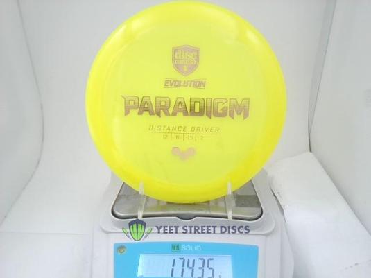 Neo Paradigm - Discmania 174.35g