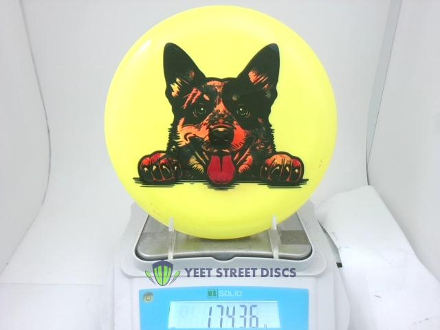 Reidiculous Concepts Star Aviar - Innova 174.37g