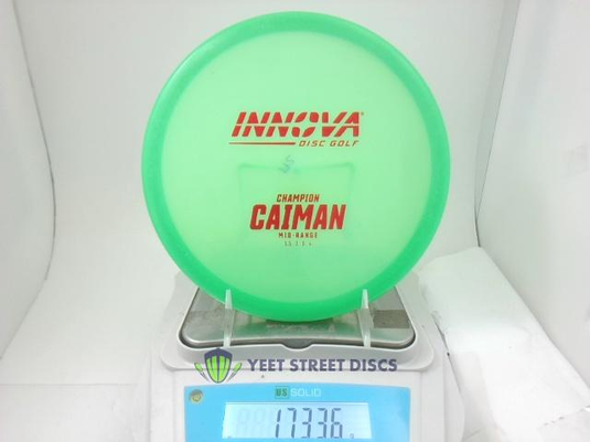 Champion Caiman - Innova 173.36g