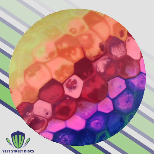 Reidiculous Concepts Cell Dye Bottom Stamp Star Firebird - Innova 172.25g