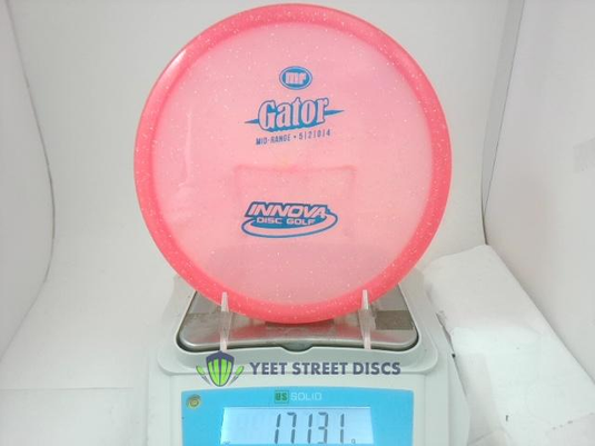 Metal Flake Champion Gator - Innova 171.31g