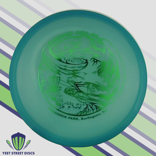 Alamance Pro-Am  Champion Rhyno - Innova 175.26g