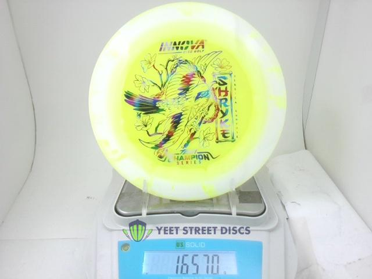 2026 Jessica Gurthie Halo Champion Shryke - Innova 165.7g