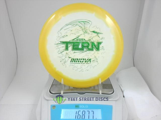 Halo Star Tern - Innova 168.77g