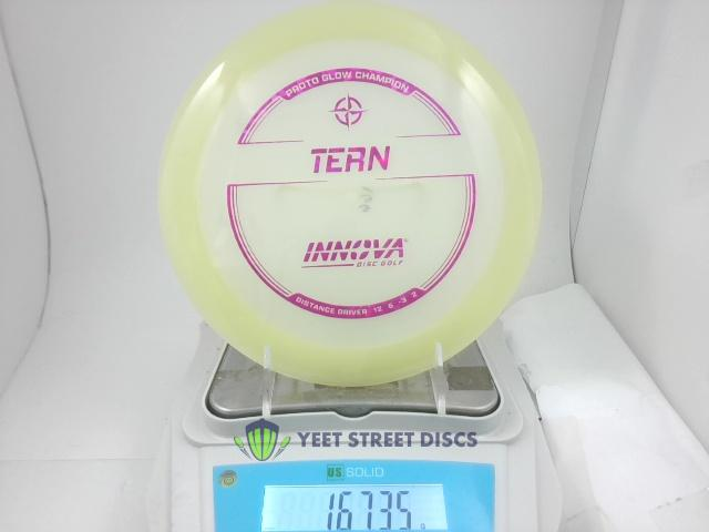 Proto Glow Champion Tern - Innova 167.35g