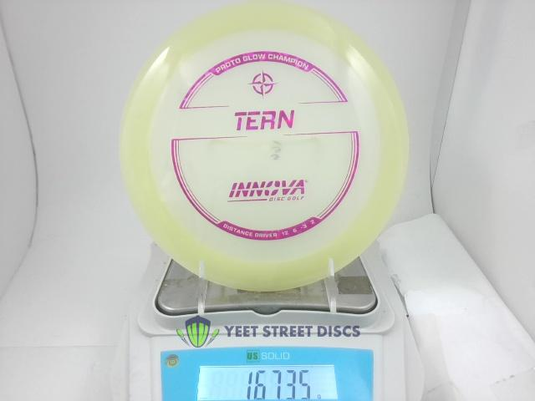 Proto Glow Champion Tern - Innova 167.35g