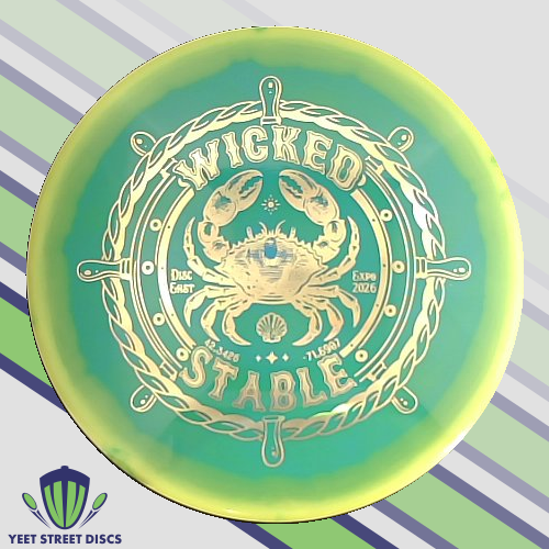 Wicked Stable Halo Star Toro - Innova 174.61g