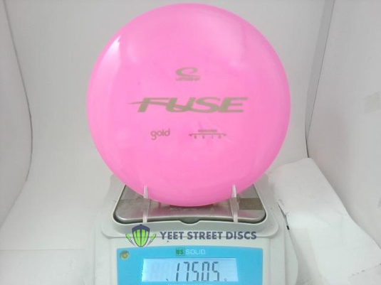 Gold Fuse - Latitude 64 175.05g