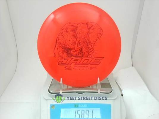 Gold Jade - Latitude 64 158.9g