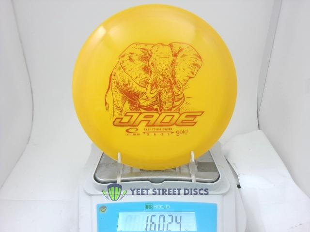 Gold Jade - Latitude 64 160.24g