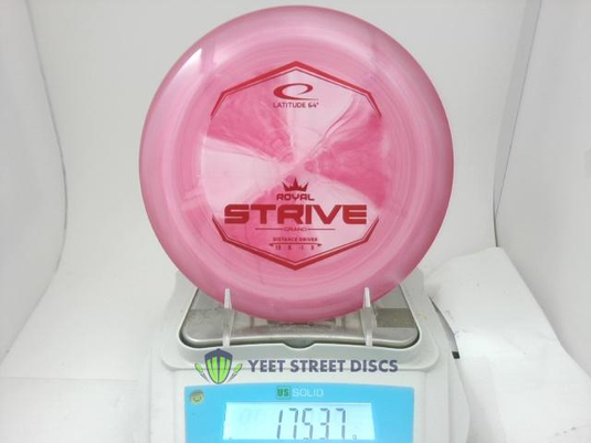 Grand Strive - Latitude 64 175.37g