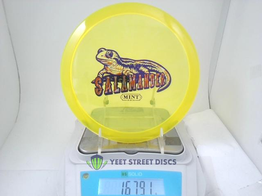 Eternal Salamander - Mint Discs 167.91g