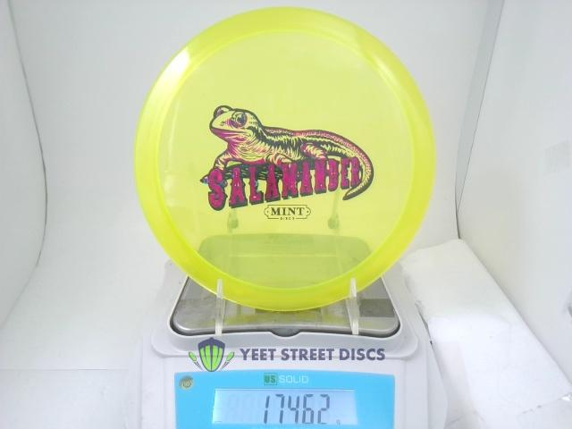 Eternal Salamander - Mint Discs 174.62g