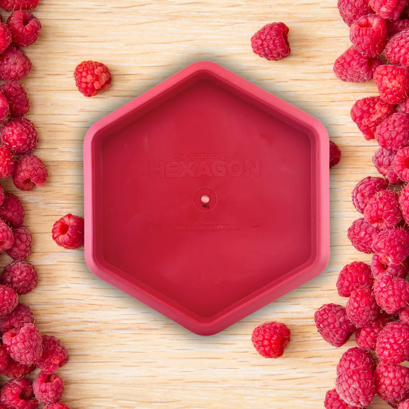 Load image into Gallery viewer, Six Sided Discs x Trash Panda - Hexagon
