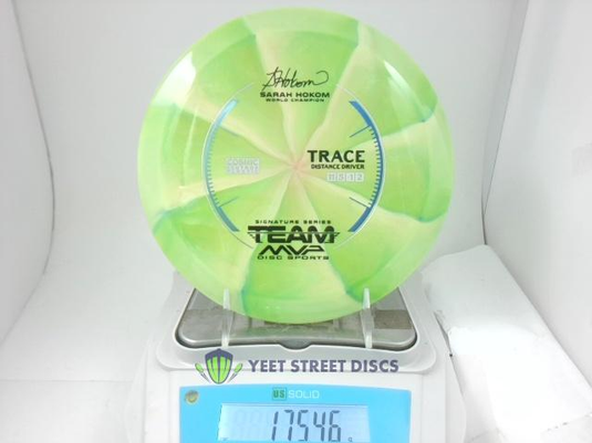 Sarah Hokom Cosmic Neutron Trace - Streamline 175.46g