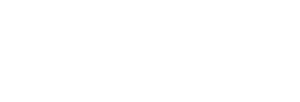 Yeet Street Discs