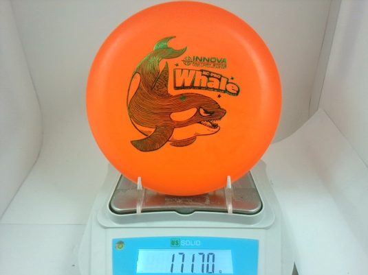 KC Pro Whale - Innova 171.7g