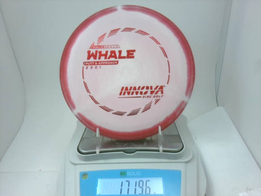 Halo Nexus Whale - Innova 171.96g